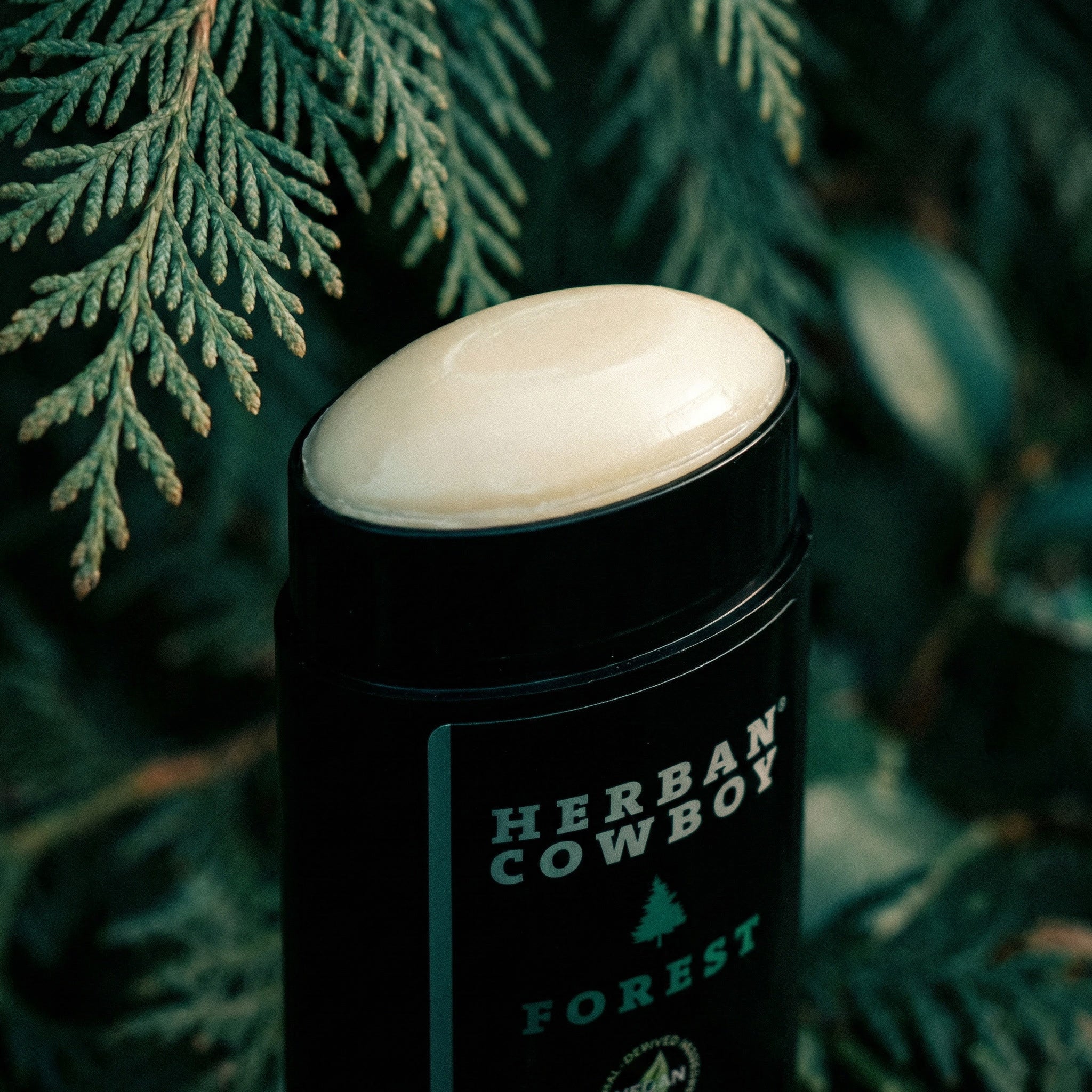 FORST STICK DEODORANT