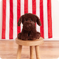 CHOCOLATE LABRADOR WARMIES 12" therapy