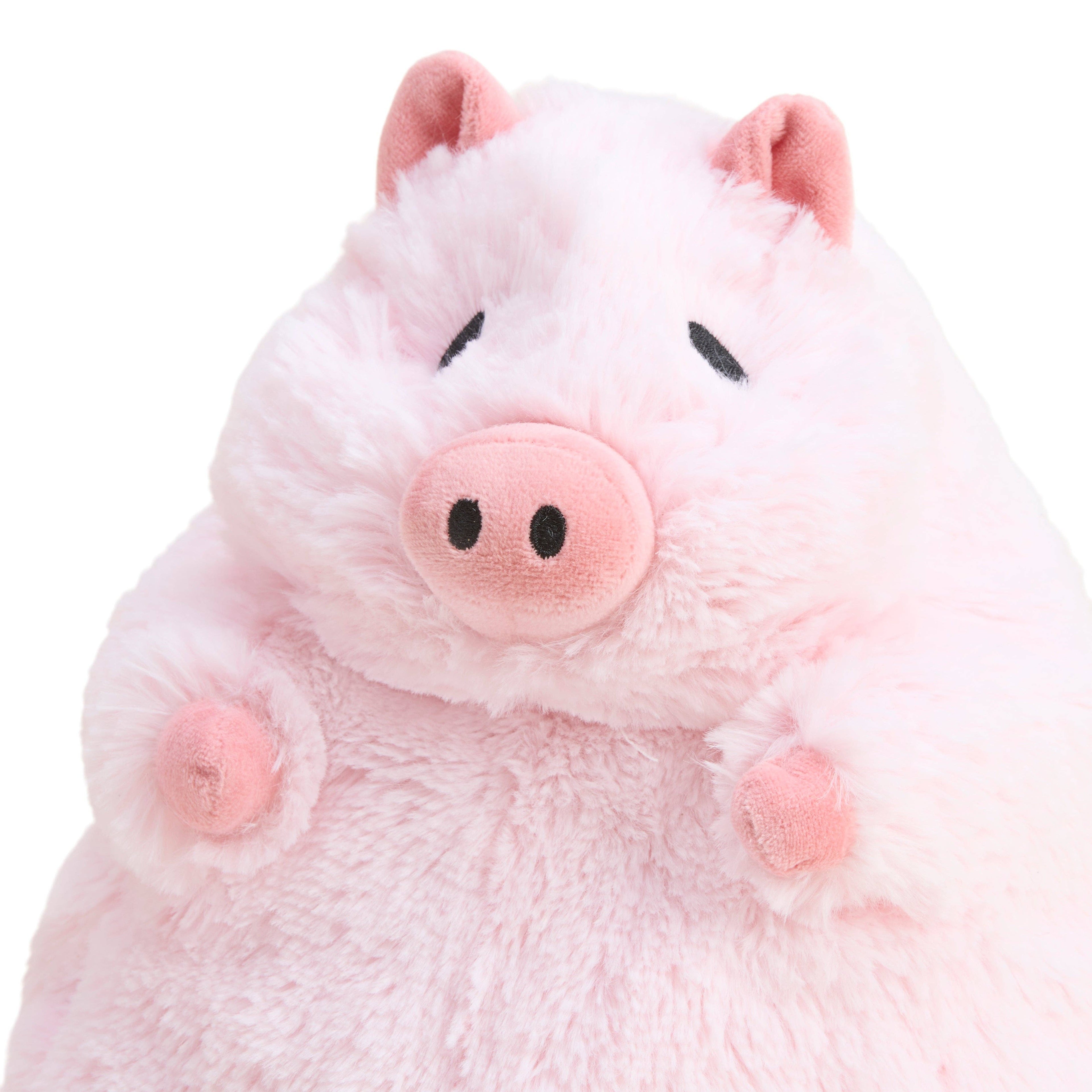 PROSPERITY PIG WARMIE therapy
