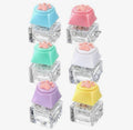 PAW PRINT LED FIDGET CLICKERS | AVAILABLE IN LOTS OF COLORS TOO