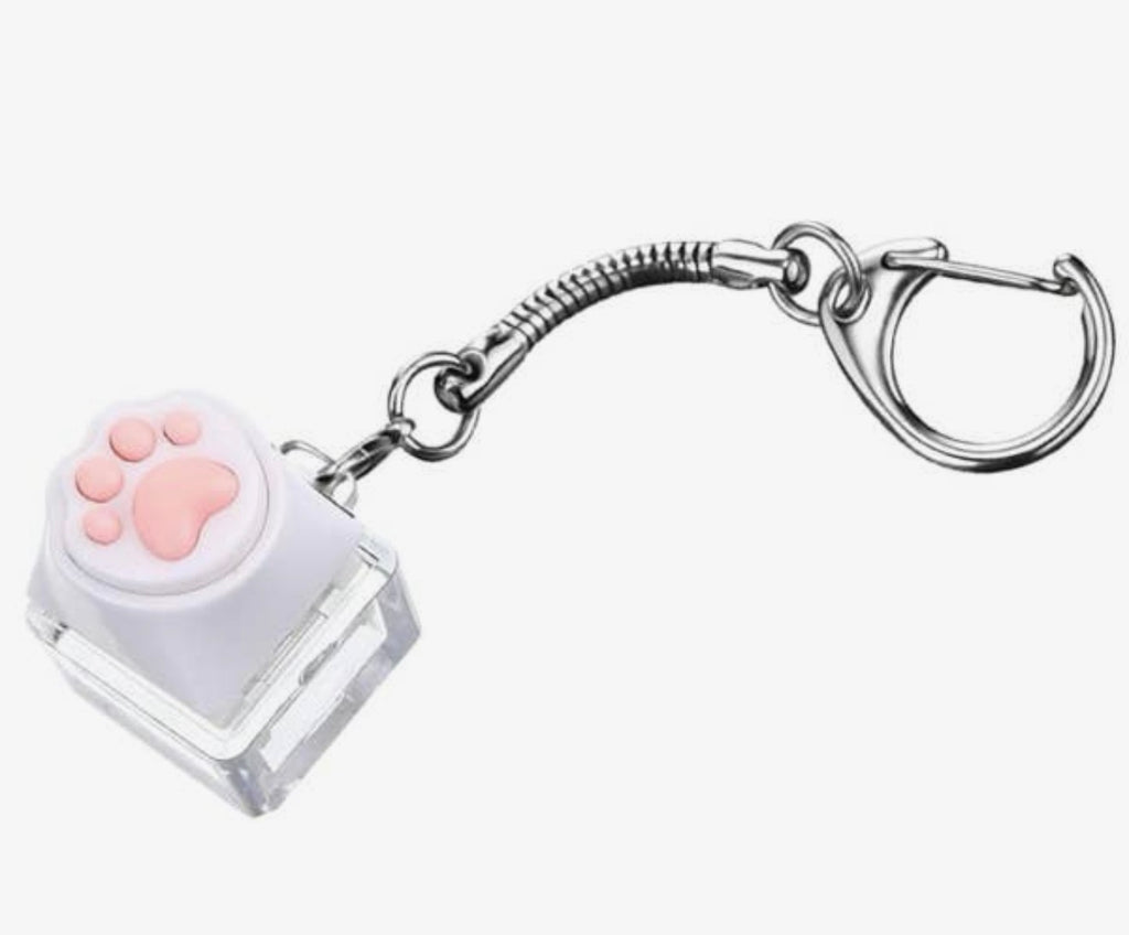 PAW PRINT LED FIDGET CLICKERS | AVAILABLE IN LOTS OF COLORS TOO