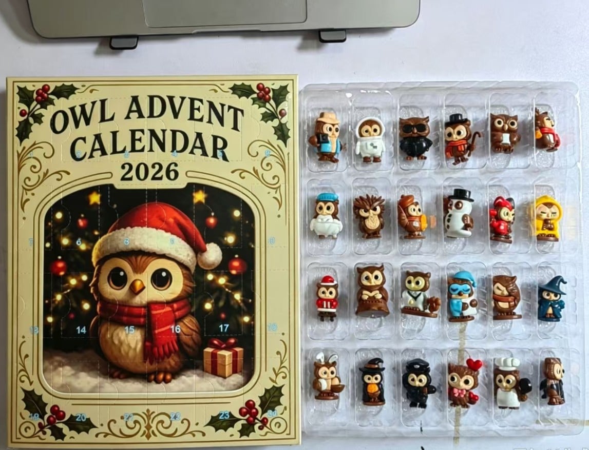 PREORDER ITEM (SEE DETAILS) - OWL THEMED 3D ACRYLIC ADVENT CALNDAR advent calendar