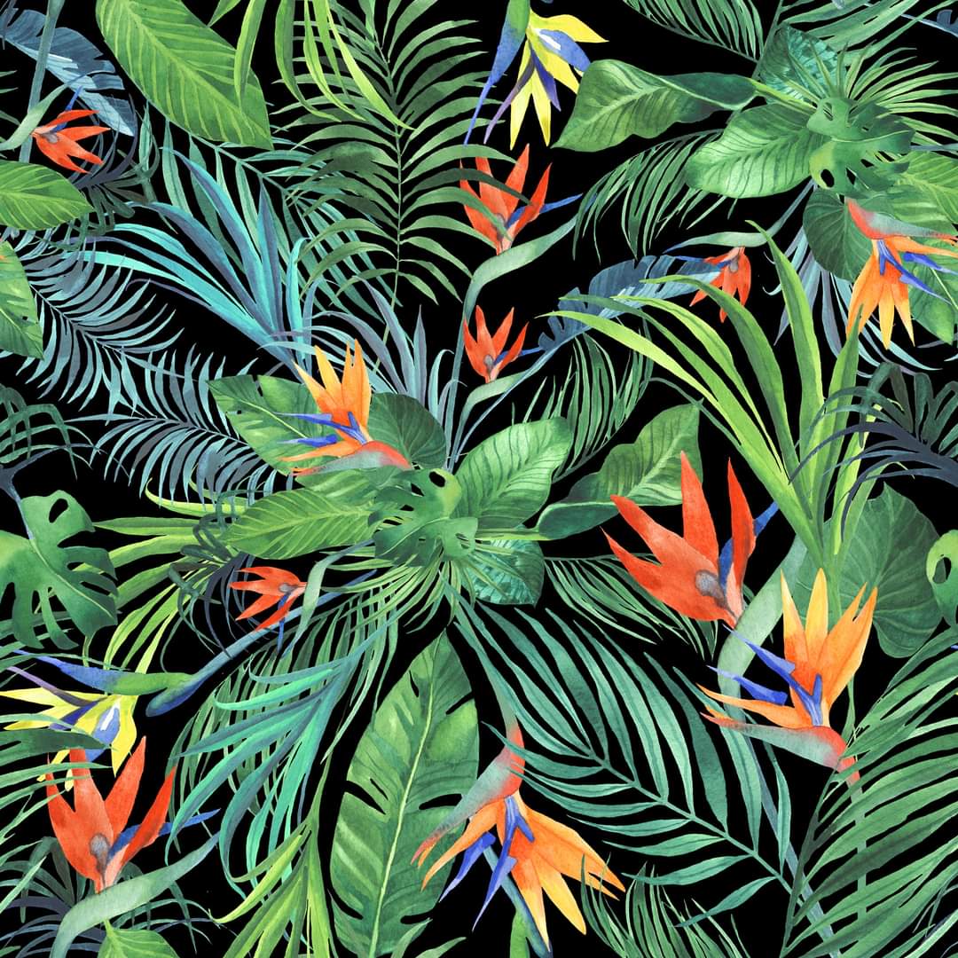 Tropical On Black capris and Skorts with pockets